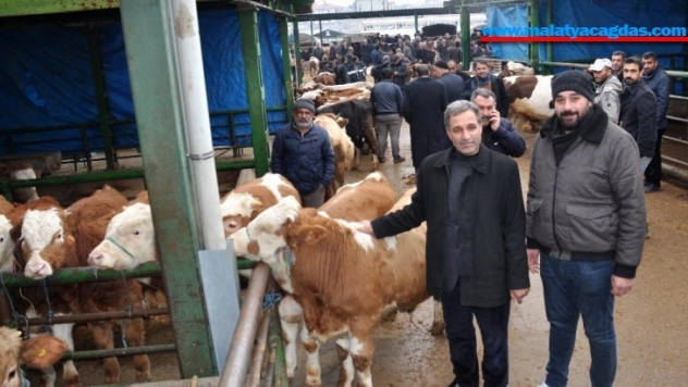Malatya Hayvan Pazarı kapatıldı