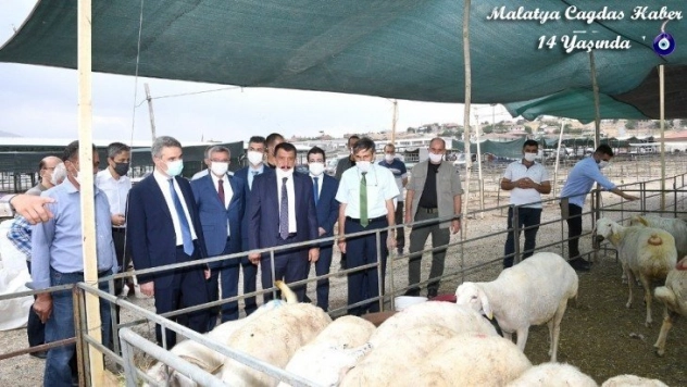 Hayvan pazarı kesimhanelerinde monoray sistemine geçildi