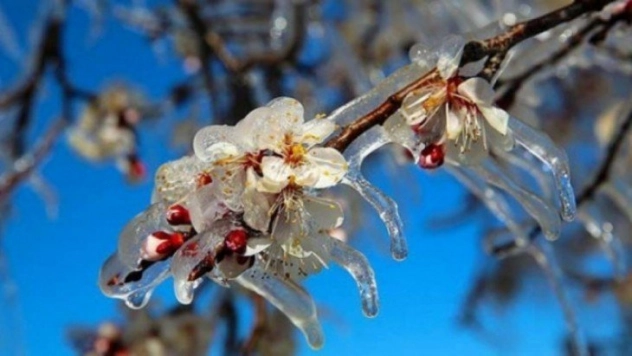 Malatya İçin Don Uyarısı