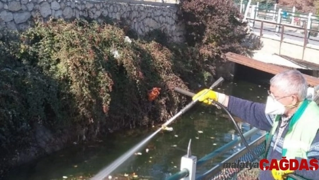 186 mahallesinde ilaçlama yapılıyor