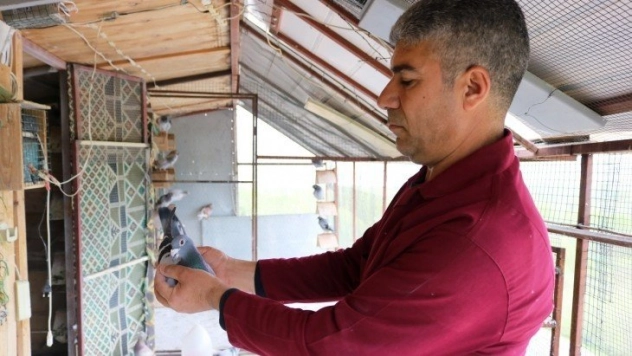 Malatya'dan bırakıldı, Diyarbakır'da beslendiği dama kondu