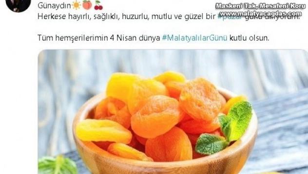 Malatyalılar günü kutlamaları sanalda