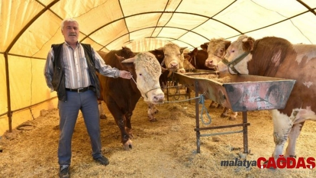 Mamak'ta kurban hazırlıkları hızlandı