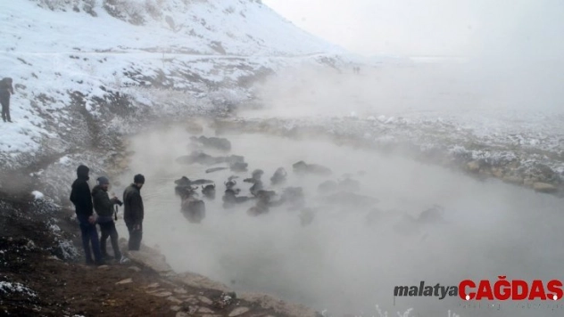 Mandaların eksi 10 derecede kaplıca sefası