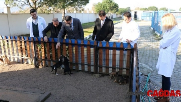 Manisa'da hayvan bakım merkezleri kışa hazır