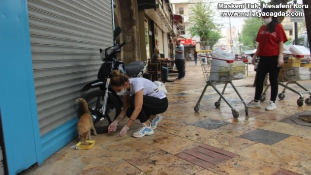 Market arabasıyla sokakları gezip hayvanları beslediler