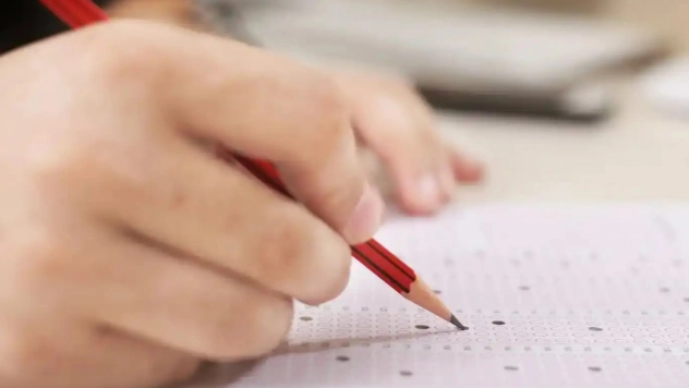 MEB bursluluk sınav sonuçları açıklandı