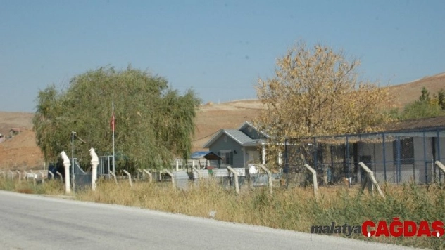 Mehmetçiğin bulduğu öksüz ayı Meyvan işte bu hayvan barınağında tutuluyor