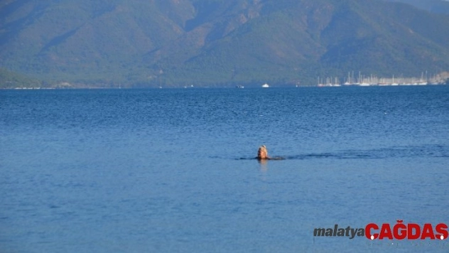 Memlekette kış Marmaris'te deniz keyfi