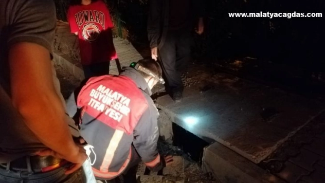 Menfeze düşen kediyi itfaiye kurtardı