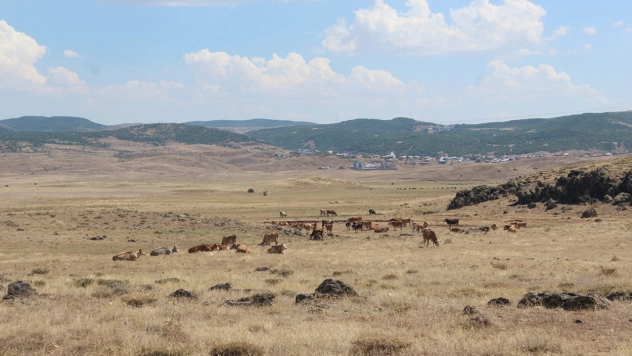 Meralık alanın satılmasına köylüler tepki gösterdi