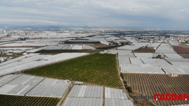 Mersin'de kuvvetli yağış ekili alanları vurdu