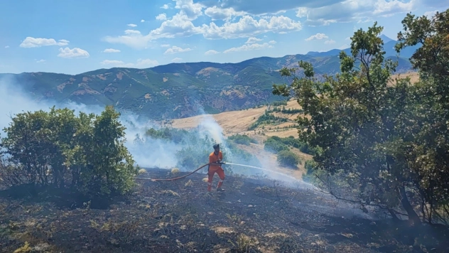 Meşelik alanda çıkan yangın söndürüldü