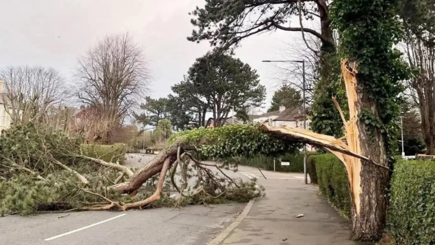 Meteoroloji'den Marmara ve Kuzey Ege için kuvvetli rüzgâr uyarısı