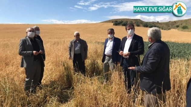 Tutdere: Dolu yağan yerler afet bölgesi ilan edilsin