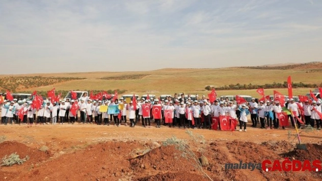 Milyonlarca metrekare yeşil alan oluşturuldu