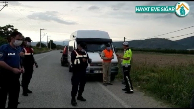 Minibüs koyun sürüsüne daldı, 3 koyun telef oldu