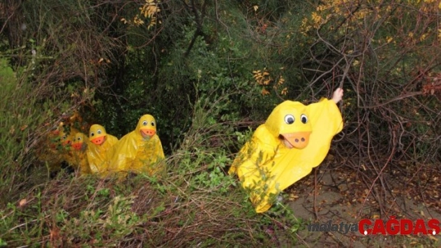 Minik öğrenciler Deniz ve Orman Okulunda keşfederek öğreniyor