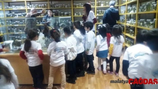 Minik öğrenciler sürüngenleri inceledi