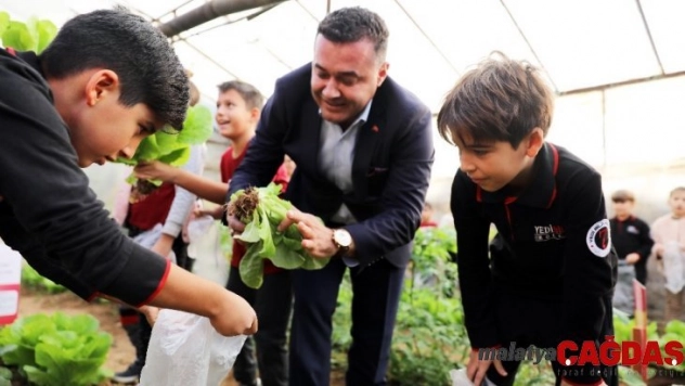 Minikler kurdukları serada organik sebze yetiştiriyor