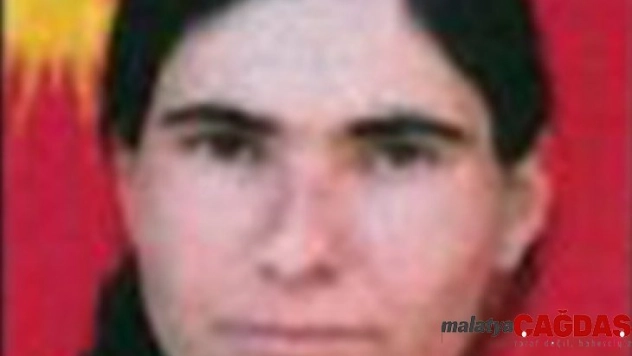 MİT ve TSK'dan PKK'ya ağır darbe