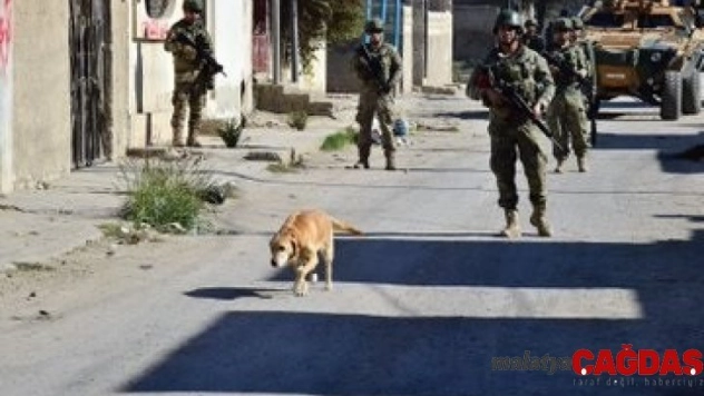 923 EYP ve 337 mayın etkisiz hale getirildi