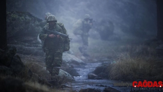 Biri gri kategoride olmak üzere 4 PKK'lı terörist teslim oldu