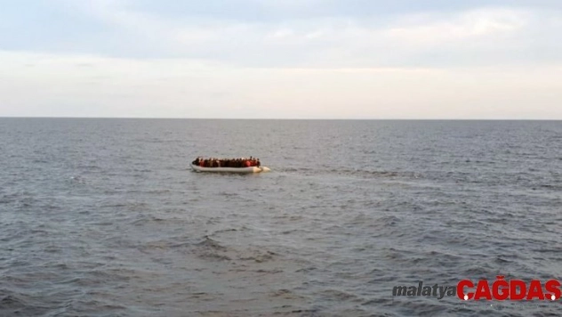 Muğla'da 49 göçmen yakalandı