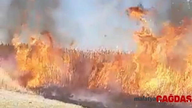 Muradiye'de sazlık yangını