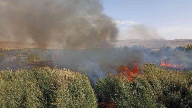 Muradiye'de sazlık yangını