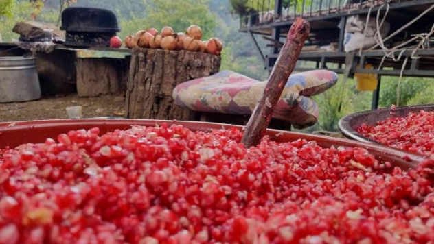 Nar tanelerinin ekşi yolculuğu