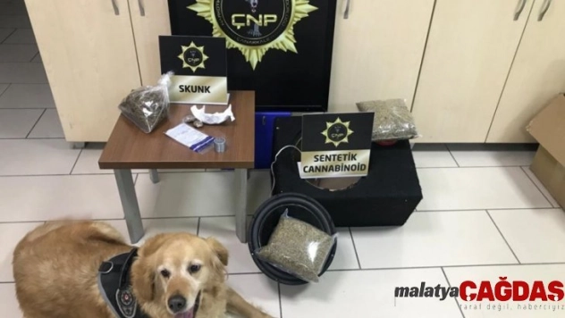 Narkotik köpeği, hoparlörün içinde 2 kilogram uyuşturucu buldu
