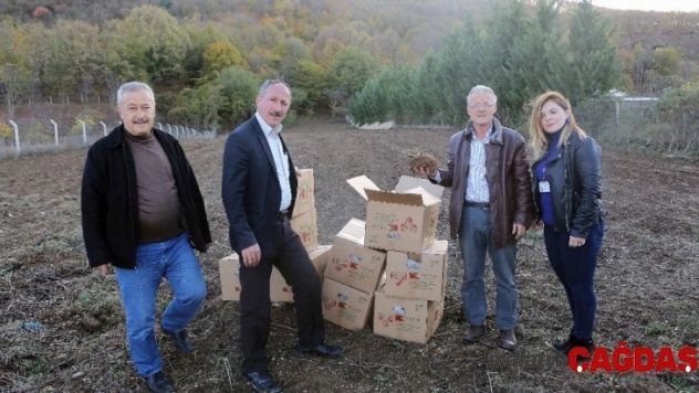 Nilüfer'de meyve yetiştiriciliği gelişecek