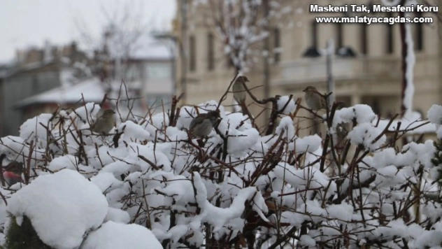 Nisan karı Sivas'ta güzel görüntüler oluşturdu