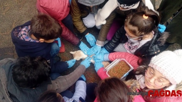 Öğrenciler evcil hayvan parkını gezdi