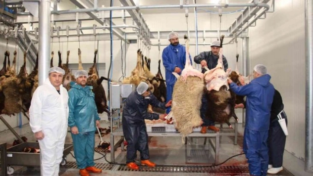 Oltu Cağ Kebap Fabrikası deneme üretimine başladı