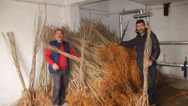 Oltu'da 15 bin fidan dağıtımı yapıldı