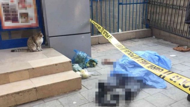 Ölüm alışverişte yakaladı, kedi başından hiç ayrılmadı