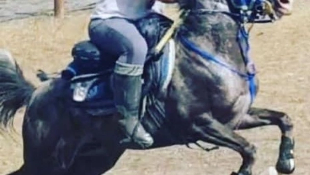 Önal, Cirit il temsilciliğine getirildi