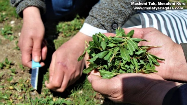 Onlarca çeşit yemeği yapılıyor, hepsi birbirinden dikkat çekiyor