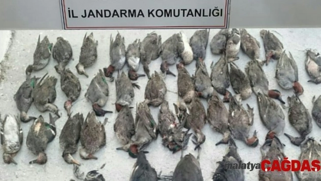 Ördek avcısına 18 bin 996 lira ceza