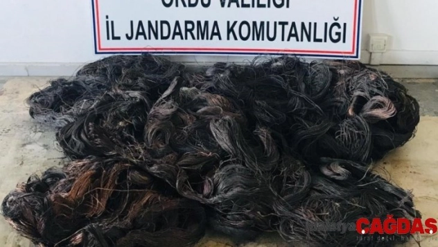 Ordu'da enerji nakil kablosu çalanlar yakalandı