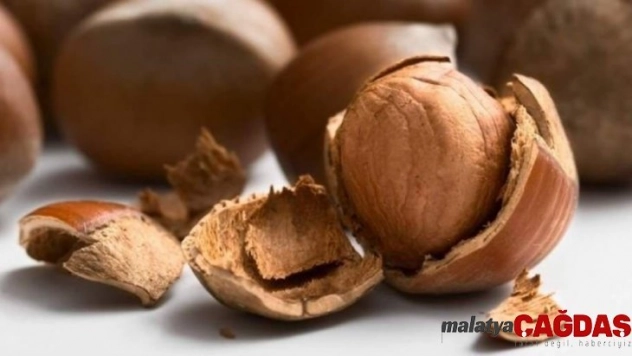 Ordu'da fındık fabrikası icralık oldu