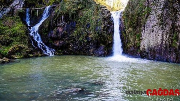 Ordu'nun dereleri boşa akmayacak