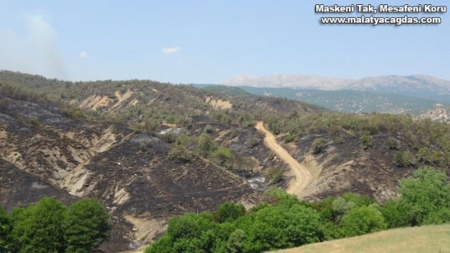 Orman yangınına havadan ve karadan müdahale sürüyor, yüzde 70 oranında kontrol altına alındı