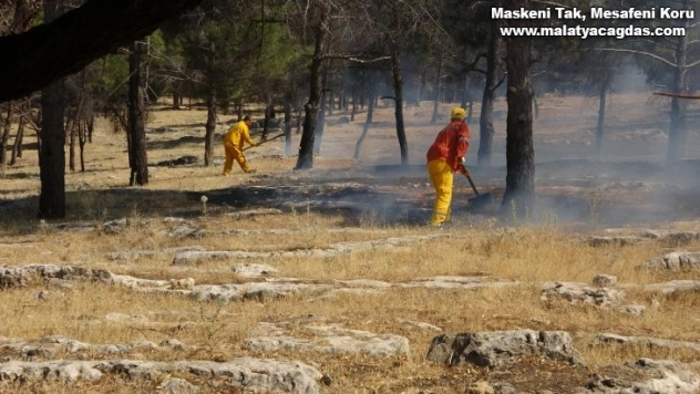 Ormanlık alanda korkutan yangın