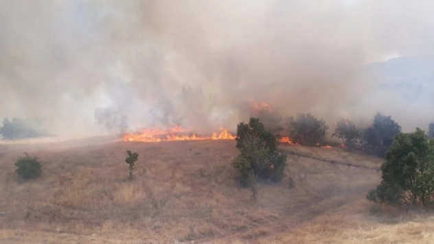 Ormanlık alanda yangın