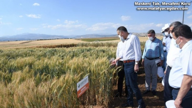 Orta Doğu'nun ve Avrupa'nın tohumu Adıyaman'dan