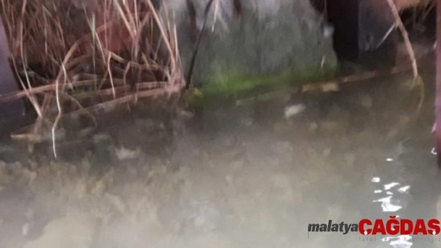 Ortaca'da iskele altında mahsur kalan kedi kurtarıldı