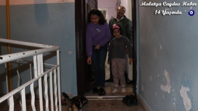 Biriktirdiği harçlıkla sokak hayvanlarını besliyor